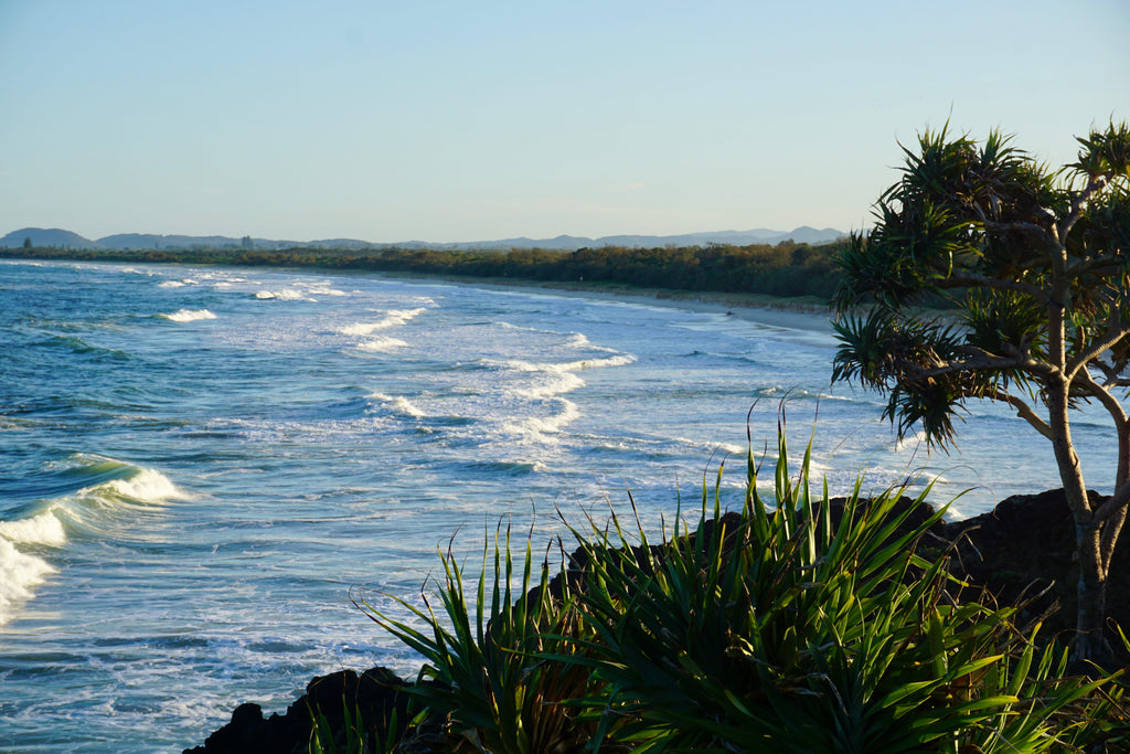 Surf Tour Kingscliff and Fingal Head